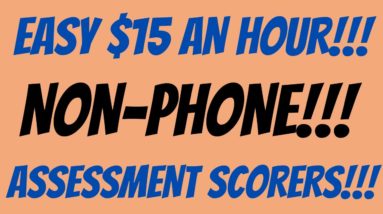 Easy $15 An Hour | Non - Phone | Assessment Scorer | Best Non Phone Work From Home Jobs | Remote Job