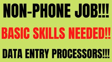 Non-Phone | Basic Skills Needed | Data Entry Processors | Non Phone Work From Home Job 2022