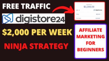 Earn $2,000 A Week With This Ninja Strategy on Digistore24 - Affiliate Marketing Tutorial 2022 🔥🔥