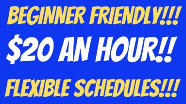 Beginner Friendly | $20 An Hour | Flexible Schedules | Best Work From Home Job 2021