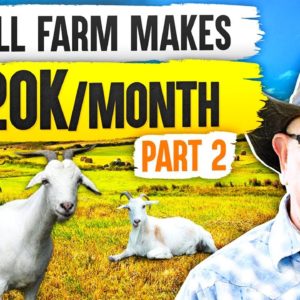 How to Start a Farm Business that Makes $120K/Month (Pt. 2)