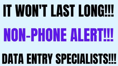 It Won't Last Long | Non-Phone Work From Home Job | Data Entry Specialists | Work From Home Job