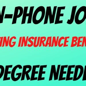 Non-Phone Work From Home Job | Verifying Insurance Benefits | No Degree | Best Non Phone Jobs