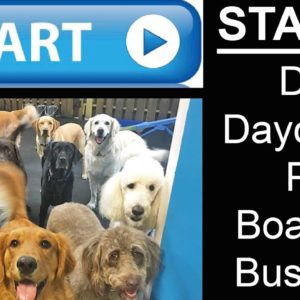 Start A Dog Day Care and Pet Boarding Business