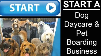 Start A Dog Day Care and Pet Boarding Business