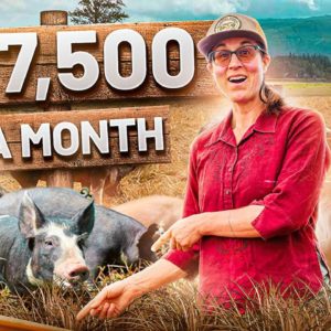 Starting a $188K/year Pig Farm Business (from Scratch)