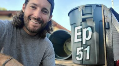 Turning these JUNK REMOVAL cans from TRASH to CASH (EP 51)