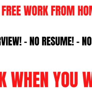 Stress Free Work From Home Job | No Interview - No Resume - No Degree | Work When You Want | Remote