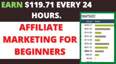 PROOF: Make $119.71 For Free (Every 24 Hours) Affiliate Marketing For Beginners With Free Traffic