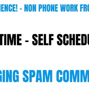 No Experience - Non Phone Work From Home Job | Part Time Self Scheduling | Flagging Spam Comments