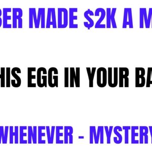 Member Made $2,000 A Month | Easiest Side Hustle Ever | Mystery Shop | Work Whenever |Work From Home