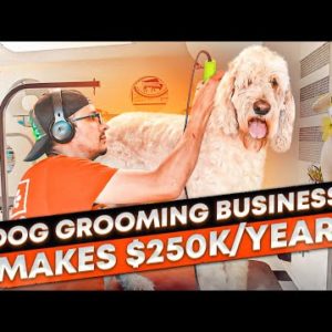 Don’t Start a Dog Grooming Business Until You Watch This