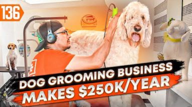 Don’t Start a Dog Grooming Business Until You Watch This