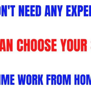 You Don't Need Any Experience | You Can Choose Your Shift | Part Time Work From Home Job Hiring Now