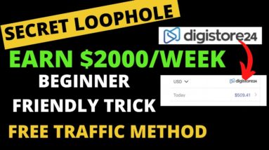 Digistore24 Affiliate Marketing FREE Traffic For Beginners! (Step by Step)