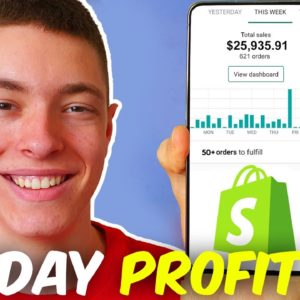 $0 To $1000/DAY PROFIT In 13 Days Dropshipping - (FULL REVEAL) - Shopify