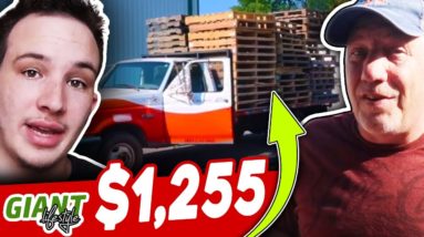 $1,255 IN 1 DAY Reselling Pallets - Day in the Life of a Pallet Reseller