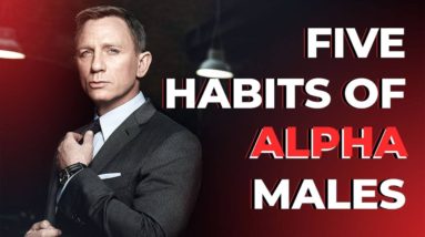 (5) FIVE HABITS OF SUCCESSFUL ALPHA MALES