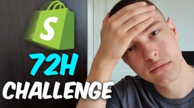 I Tried Shopify Dropshipping For 72H (Insane Results)