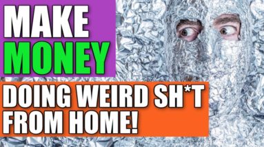 Side Hustle | How To Make $200 - $300 Per Day Working From Home - 12 Weird Ways