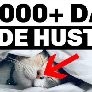 Make $1000+ A Day Online (ANYWHERE) | Side Hustle - Make Money Online