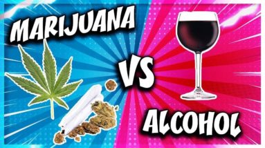 MY EXPERIENCE WITH MARIJUANA AND ALCOHOL