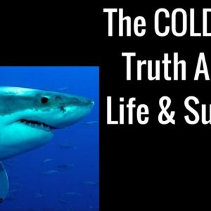 The COLD Hard Truth About Life & Success