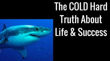 The COLD Hard Truth About Life & Success