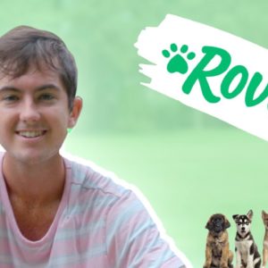 I Tried the Rover Side Hustle (my thoughts)