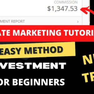 How I Made $1,347.53 / Day With Affiliate Marketing Website | Passive Income From Home