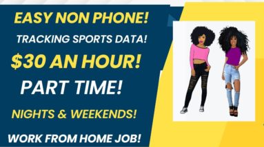 Non Phone Work From Home Job $30 An Hour Part Time Nights & Weekends WFH Tracking Baseball Data