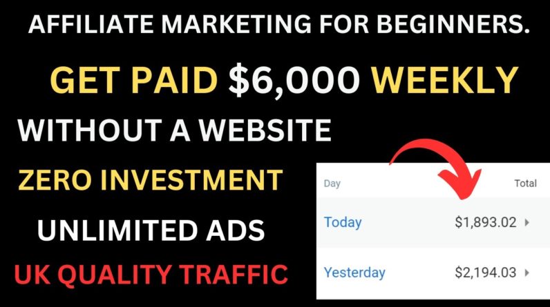 Get Paid $6000 /Weekly With Affiliate Marketing | Online Business | Sell Digital Products | Income